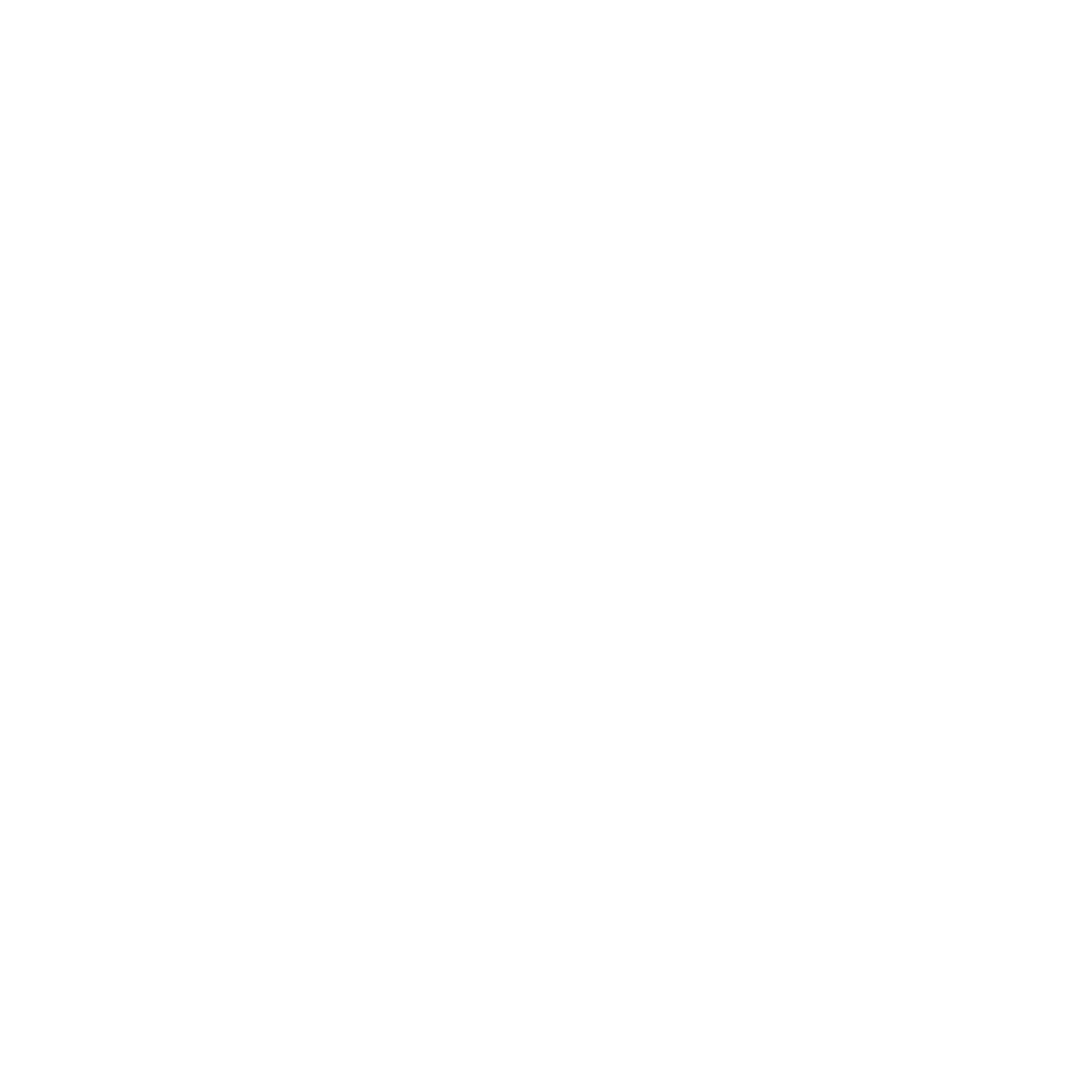 HISTORY